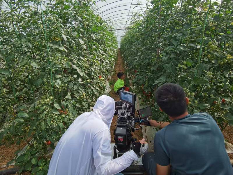 思茅区产品宣传视频拍摄公司进阶指南，助力品牌抢占传播高地